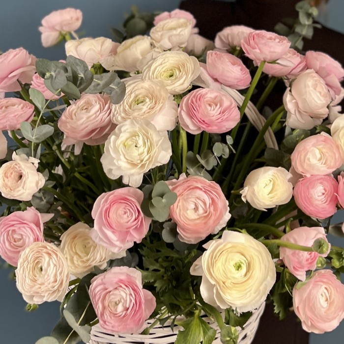 51 нежный микс ранункулюсов в корзине с эвкалиптом