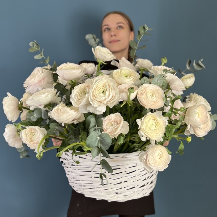 51 ранункулюс Ханой в корзине с эвкалиптом
