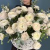 51 ранункулюс Ханой в корзине с эвкалиптом