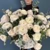 51 ранункулюс Ханой в корзине с эвкалиптом