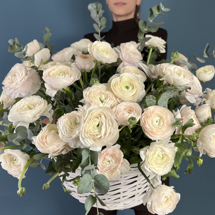 51 ранункулюс Ханой в корзине с эвкалиптом