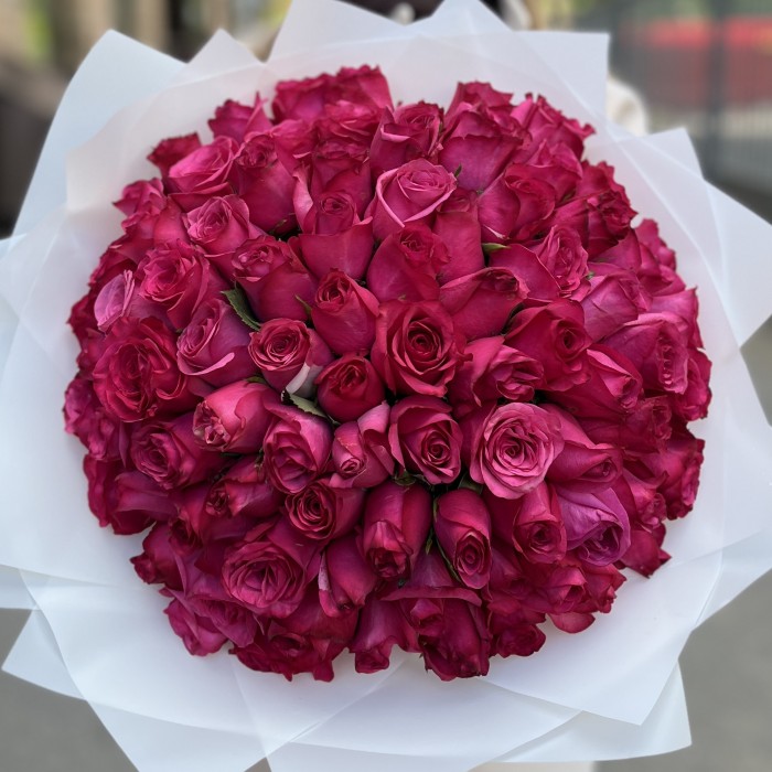 101 малиновая Роза Палома Роял 40 см