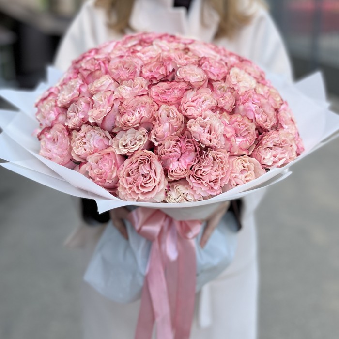 101 малиново-белая Роза Кантри Кэнди 40см