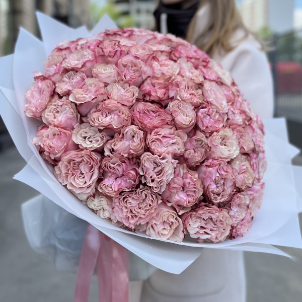 101 малиново-белая Роза Кантри Кэнди 40см