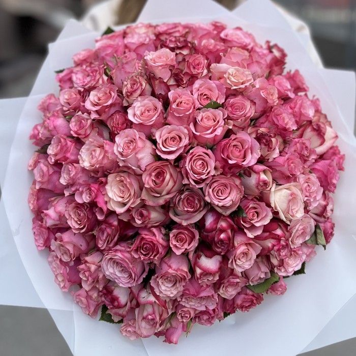 101 розовая Роза Алани микс 40 см