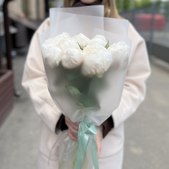 11 пионов Фестива XL