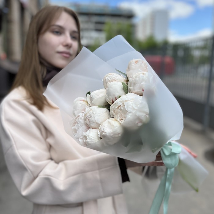 11 пионов Фестива XL