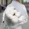11 пионов Фестива XL