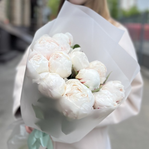 11 пионов Фестива XL