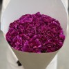25 фиолетовых гвоздик