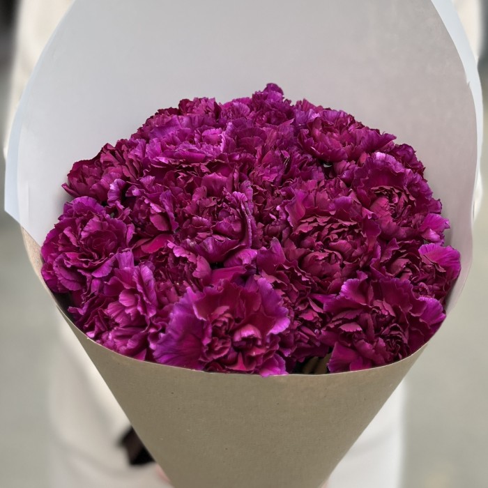 25 фиолетовых гвоздик