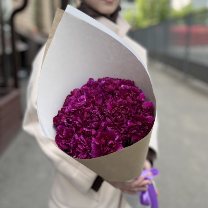 25 фиолетовых гвоздик