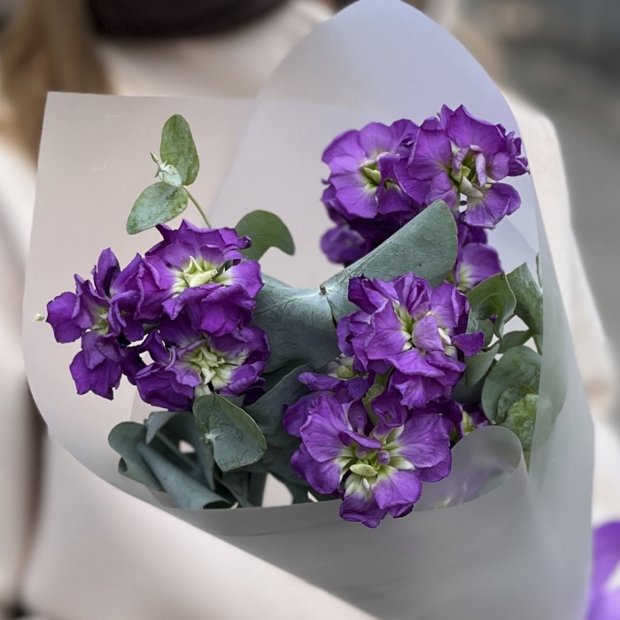 3 фиолетовые маттиолы с эвкалиптом