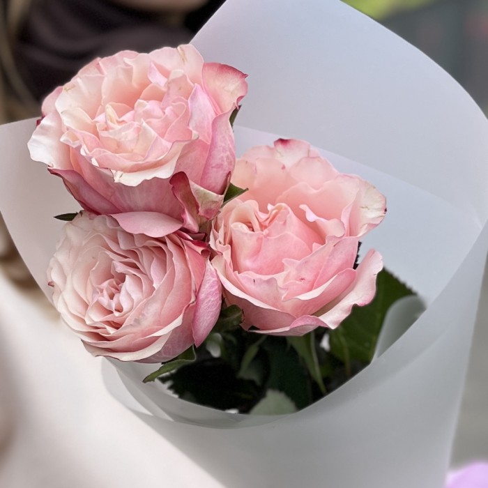 3 пионовидные розы Кантри Кэнди