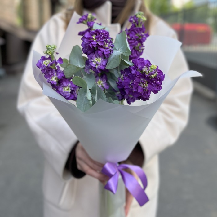 5 фиолетовых маттиол с эвкалиптом