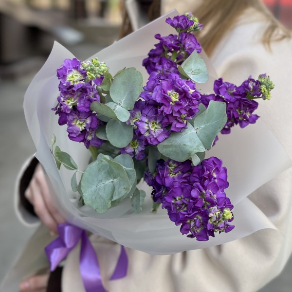 5 фиолетовых маттиол с эвкалиптом