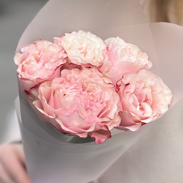 5 роз Кантри Кэнди