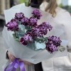Букет из 11 гвоздик сорта Минерва с эвкалиптом