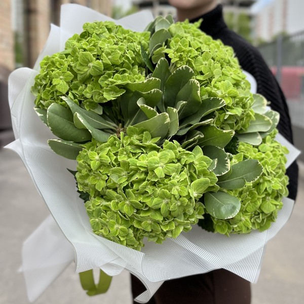 Летний букет из зеленых гортензий