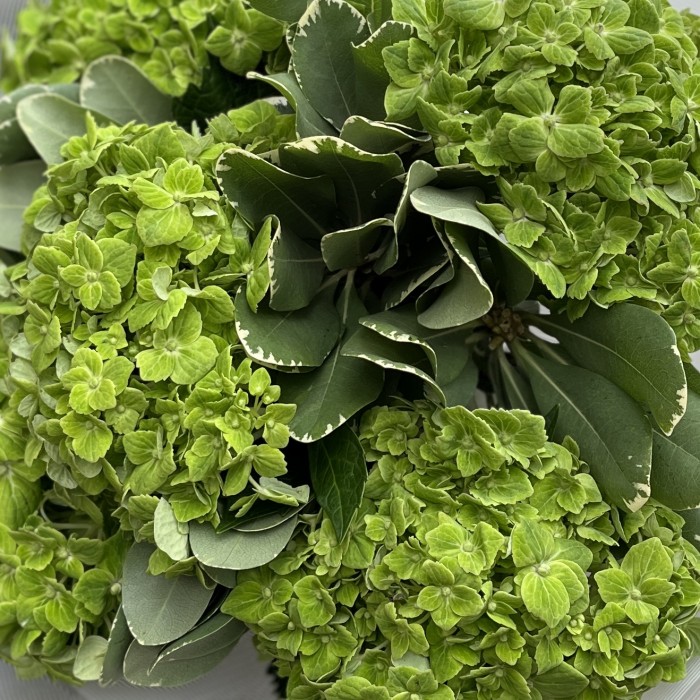 Летний букет из зеленых гортензий