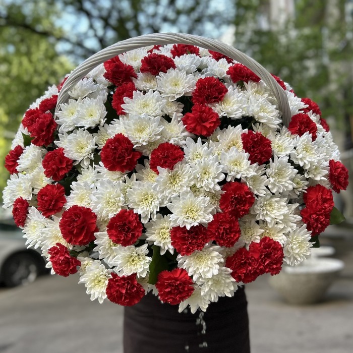 Корзина хризантем с красными гвоздиками