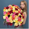 101 яркая Роза MIX 60 см