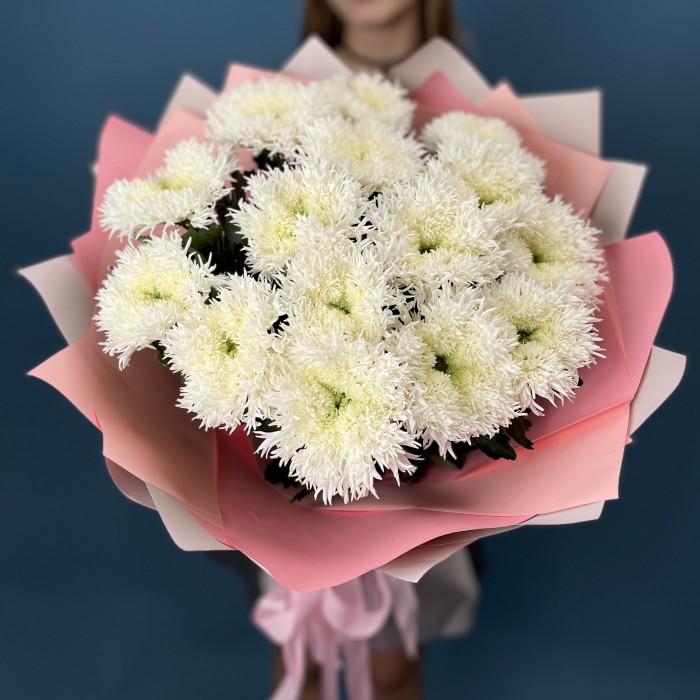 15 белых пушистых хризантем Этруско