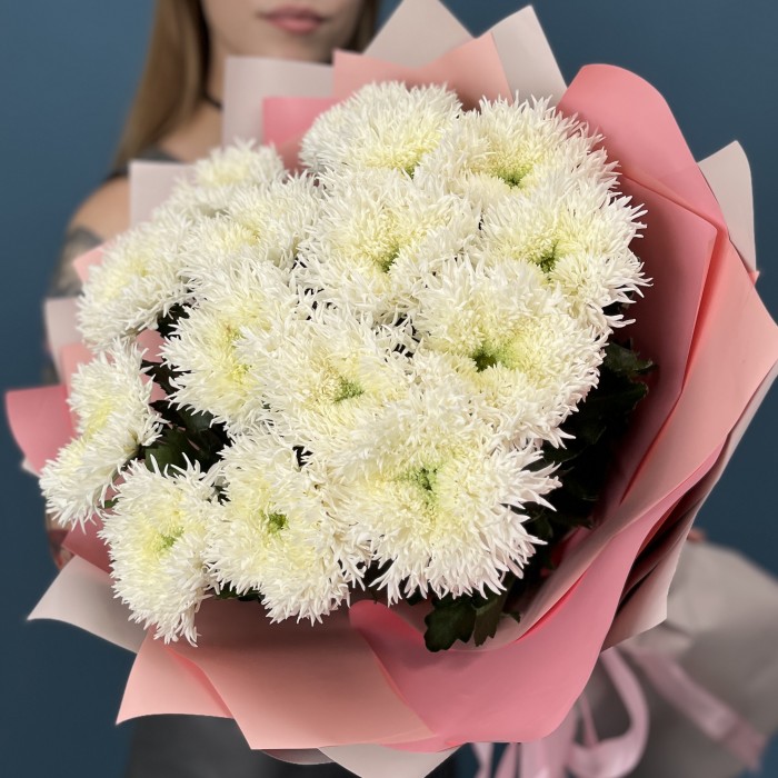 15 белых пушистых хризантем Этруско