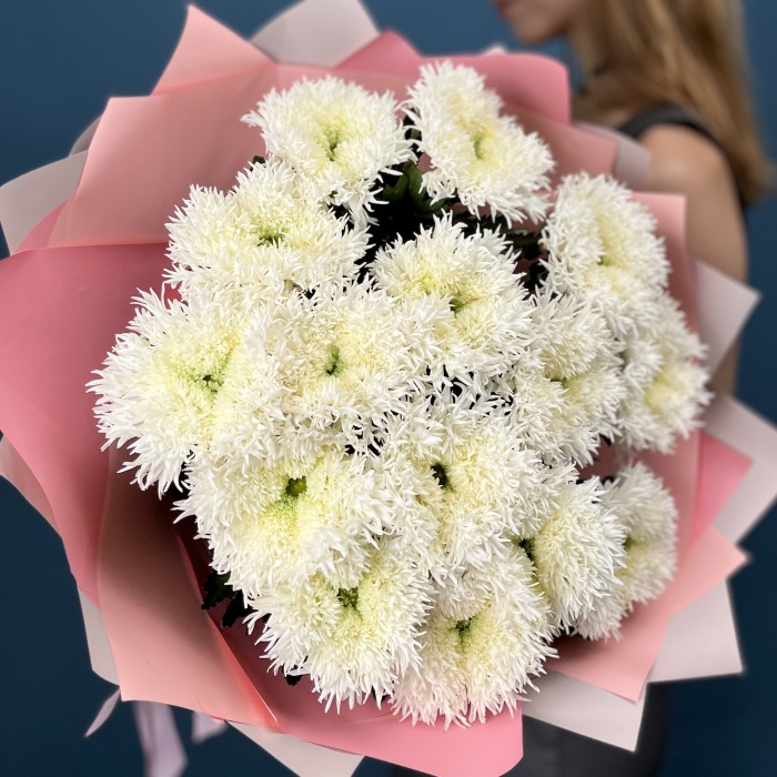 15 белых пушистых хризантем Этруско