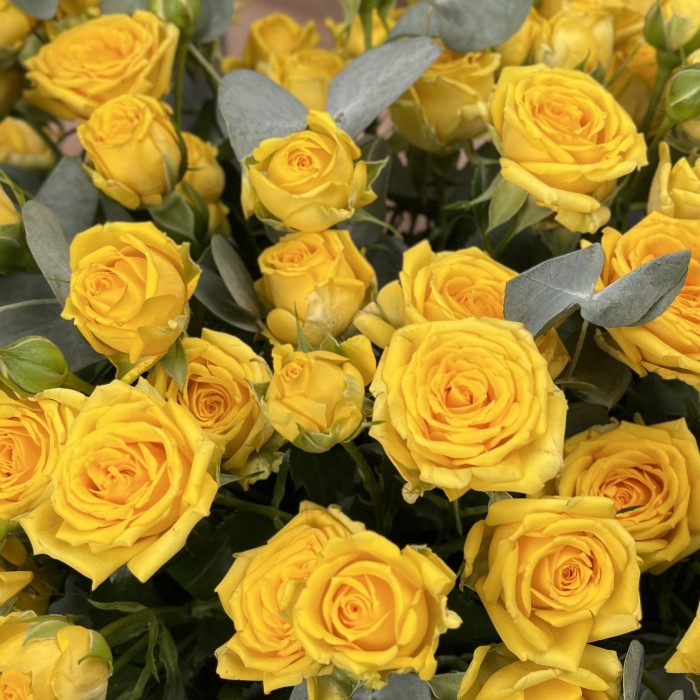 15 кустовых желтых роз Еллоу Бейби в коробке