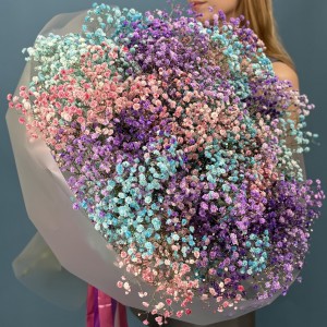 25 нежных гипсофил MIX