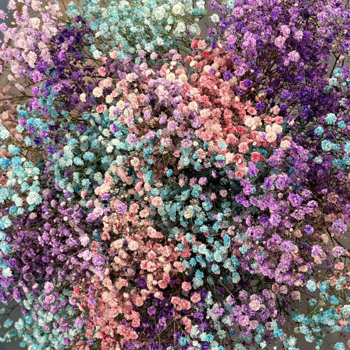 25 нежных гипсофил MIX