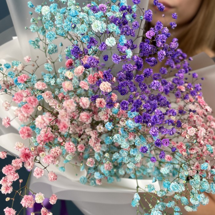 5 нежных гипсофил MIX