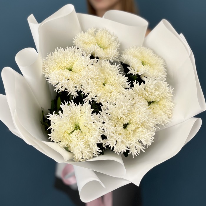 7 белых пушистых хризантем Этруско