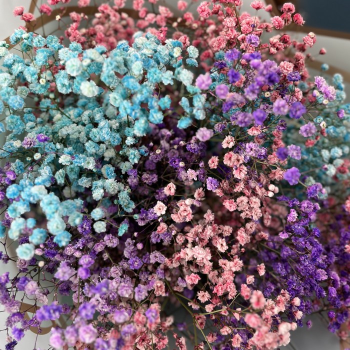 9 нежных гипсофил MIX