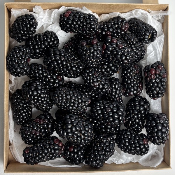 Ежевика 150гр