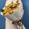 11 Желто-красных хризантем Том Пирс