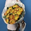 15 Желто-красных хризантем Том Пирс