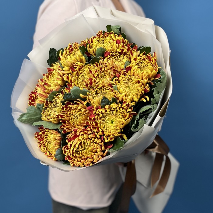 15 Желто-красных хризантем Том Пирс