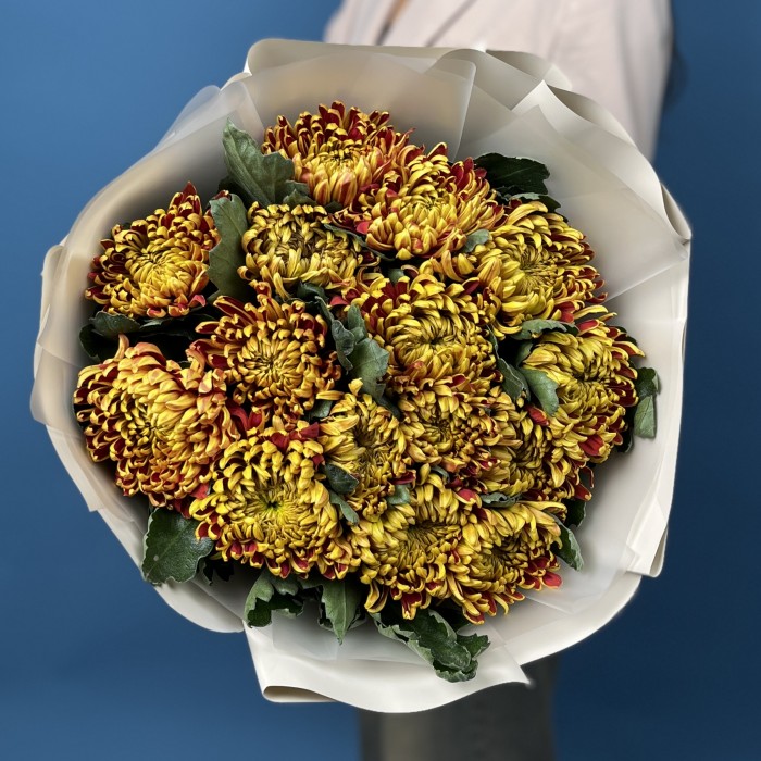15 Желто-красных хризантем Том Пирс