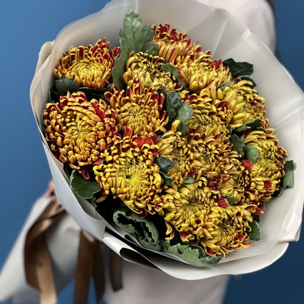 15 Желто-красных хризантем Том Пирс