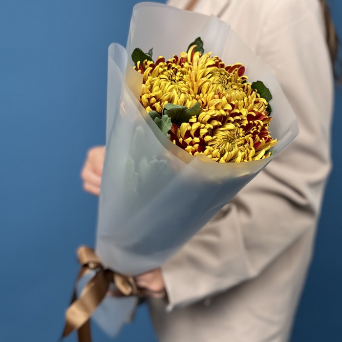 3 желто-красные хризантемы Том Пирс