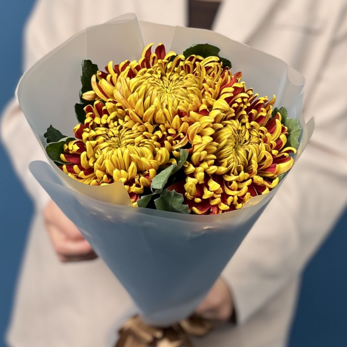 3 желто-красные хризантемы Том Пирс