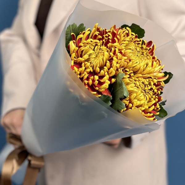 3 желто-красные хризантемы Том Пирс