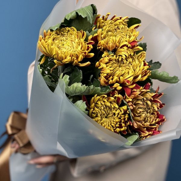 5 желто-красных хризантем Том Пирс