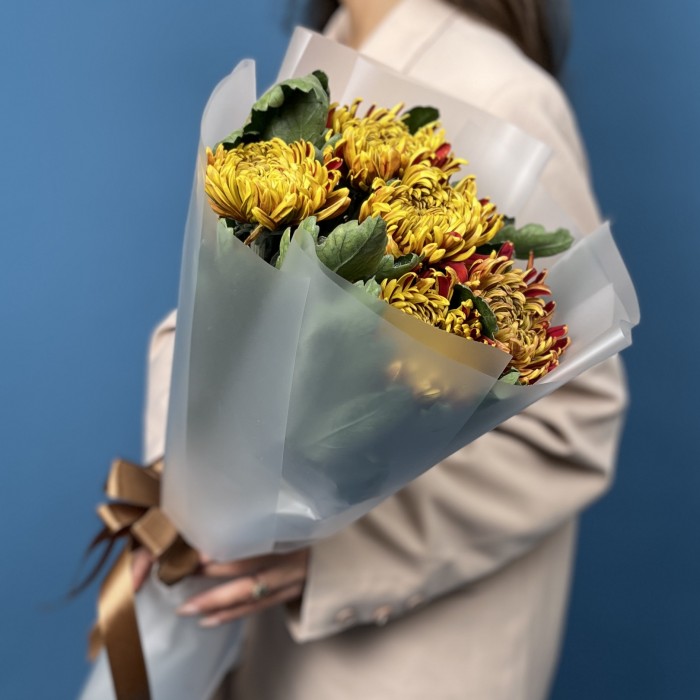 5 желто-красных хризантем Том Пирс