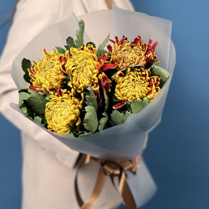 5 желто-красных хризантем Том Пирс