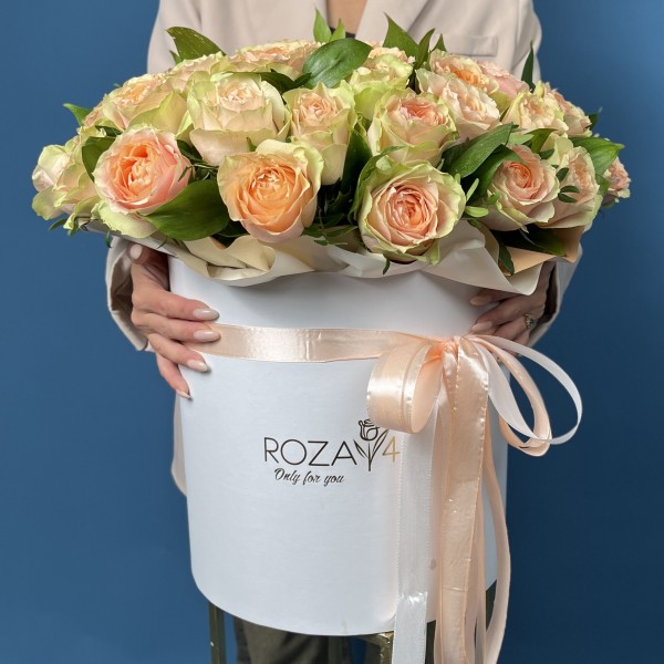 51 пионовидная кремовая роза Гравити в коробке