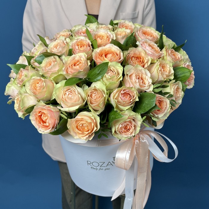 51 пионовидная кремовая роза Гравити в коробке