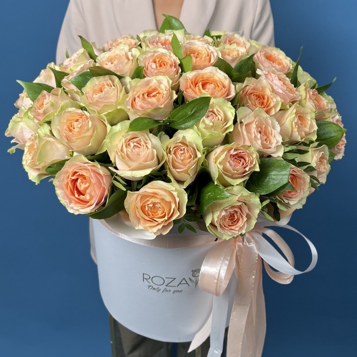 51 пионовидная кремовая роза Гравити в коробке